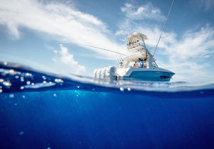 New Providence - Deep Sea Fishing