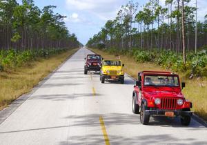 Grand Bahama - Jeep Safari