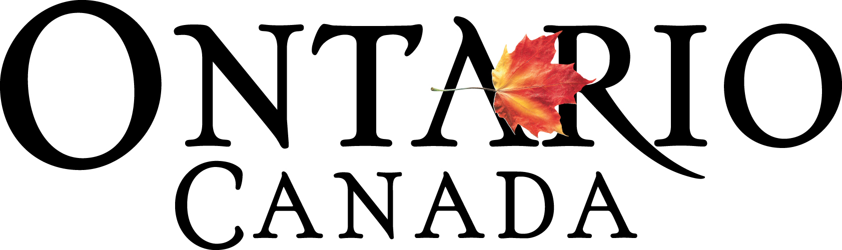Destination Ontario Logo