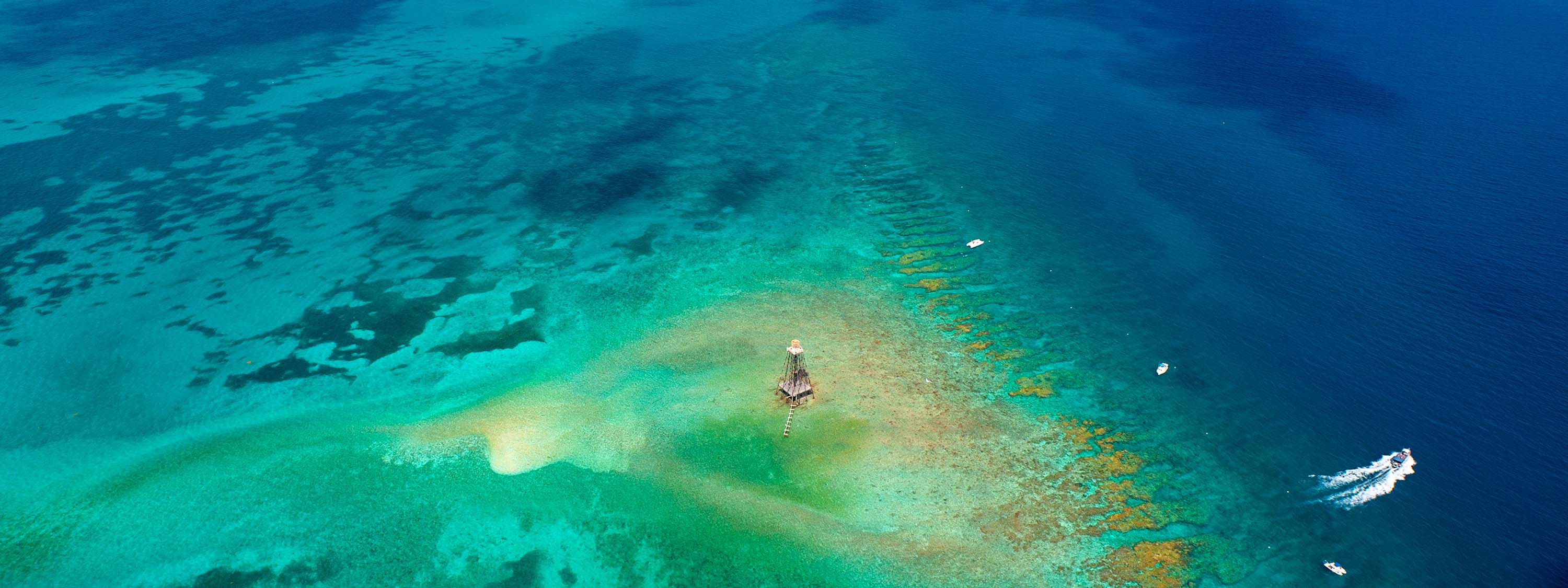 Sand Key Reef c by Rob ONeal4