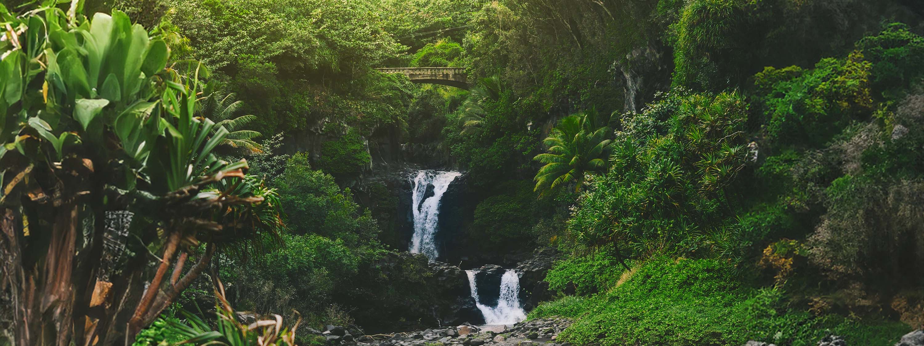 Wasserfall auf der zweitgrößten Hawaii-Insel Maui