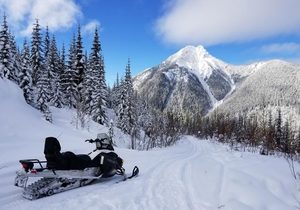 Snowmobile Tour ab Banff