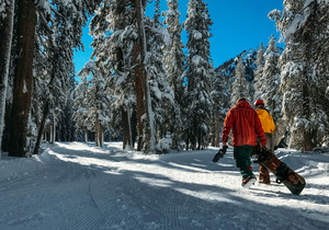 14 Tage Ski-Safari Kalifornien inkl. Mietwagen, Hotels und Skipässen