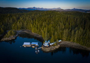 Wildnis-Abenteuer: Bären und Wale beobachten in der Farewell Harbour Lodge